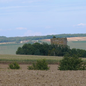 Burg Ehrenberg